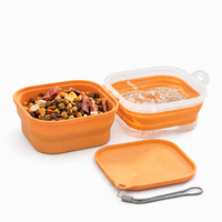 Bol pliable en silicone pour animaux de compagnie, personnalisé, portable, 2 en 1, pour nourriture et eau, pour chiens et chats, durable, non toxique