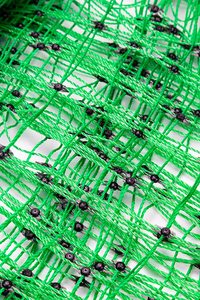 Hàng Rào Điện Lưới Gia Cầm Hàng Rào Cừu Gà - Product Image 3