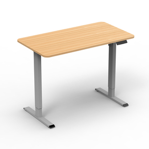 2sr2b grey khung giá rẻ có thể điều chỉnh chiều cao cơ giới nâng chân kim loại đứng bàn khung phần điện với động cơ duy nhất - Product Image 6