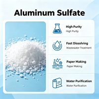 Agen Kimia Pembantu 50 kg Aluminium Sulfat Granular untuk Klarifikasi Air Kolam Renang