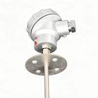 Industrial RTD PT100 Probe PF1/4 Anti-Loose Thread KSC+3P Ceramic Core 0-400℃ a Grade 60mm Flange IP66 Waterproof OEM Custom