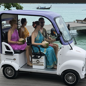 Holladay Chariot de golf touristique électrique à pédale en acier inoxydable 4 places pour shopping et cargo pour adultes Scooter électrique - Product Image 3