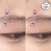 ASTMF136 Piercing en Titane entièrement serti de diamants pour Cartilage d'oreille, Hélix, Sourcil, Labret, Septum, Barbell et Anneau Fer à Cheval