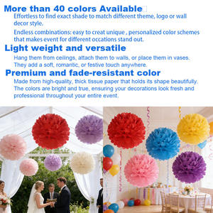 Großhandel Seidenpapier-Pompons Schnelle DIY-Dekorationen Perfekt für Eventplaner Einzelhandelsgeschäfte Babyparty Geschlechtsoffenbarungsparty Partyzubehör - Product Image 4
