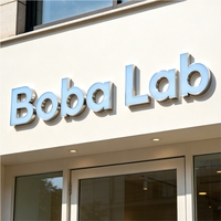 Letras de Canal LED 3D Personalizadas, Acero Inoxidable, IP54 Impermeable, Multicolor, Letrero Luminoso para Negocios, Decoración Luminosa para Exteriores