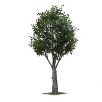 Arbres artificiels détachables de 0,9 m à 2,4 m, oliviers, plantes de simulation, verdure artificielle, pour jardin et décoration intérieure