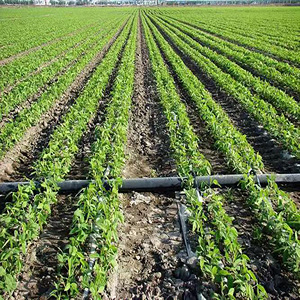 Système <span class=keywords><strong>d</strong></span>'irrigation <span class=keywords><strong>d</strong></span>'automatisation agricole système <span class=keywords><strong>d</strong></span>'irrigation à pivot central système <span class=keywords><strong>d</strong></span>'irrigation pour 10 hectares - Product Image 1