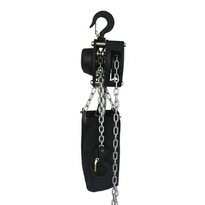 Chất lượng tốt giai đoạn hoist nâng hoist Manual hoist nhà máy