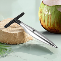 Ouvre-noix de coco manuel en acier inoxydable avec poignée en caoutchouc et outils d'ouverture de noix de coco