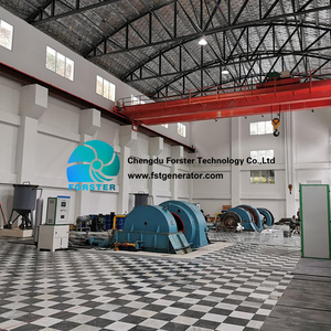 กังหันน้ำเพลตันคุณภาพสูง 50KW 5000KW ผลิตจากสแตนเลส ได้รับการรับรองมาตรฐาน CE สำหรับพลังงานทดแทนที่มีอายุการใช้งานยาวนาน - Product Image 3