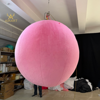 Ballons en peluche gonflables roses pour décoration de fête, prix de gros pour balles en peluche gonflables