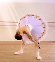 Nouveau adulte TUTU-40 Performance porter jupe Tutu de ballet professionnel pour enfants Costumes élégants