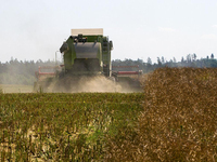 Machines agricoles d'approvisionnement d'usine 85HP moissonneuse-batteuse diesel AW85G pour le riz et le blé à vendre
