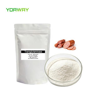 Enzima Transglutaminasa (TG) para Aditivos Alimentarios, Proteínas, Reticulación de Proteínas como Enzima Natural para Unir Carne - Product Image 1