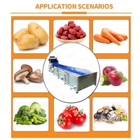 Lwt Volautomatische Groenten Fruit Sorteren Snijden Wassen Drogen Verwerkingslijn Fruitgroente Wasmachine Verwerkingsmachines