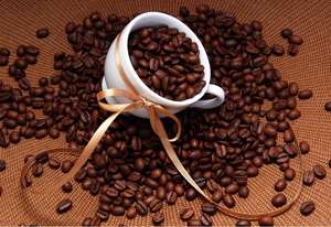 공장 즉석 커피 가루 로스팅 커피 원두 아라비카 - Product Image 2