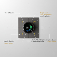 Interruptor de Pared Inteligente Tuya con Perilla de PC IPS, Control Remoto por Aplicación para Automatización del Hogar, Interruptor Atenuador de Luz Zigbee EU UK X3
