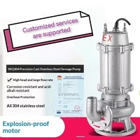 Pompe submersible antidéflagrante en acier inoxydable 304 pour eaux usées, 380V, drainage industriel des eaux usées, dragage minier, OEM de haute performance