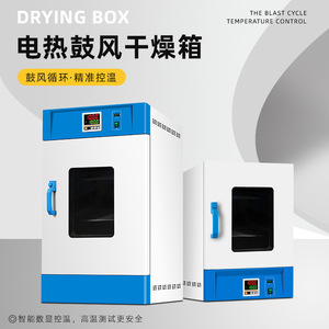 Vacuum Drying Oven DGF 4A 20L 210L Digital Control Laboratory Use - Product Image 5