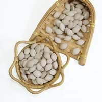 Comprimés de compléments alimentaires à base de plantes pour hommes, extrait concentré de ginseng, amélioration de la libido et de l'endurance, OEM