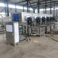 Fomax bonne Machine à laver boîte Tunnel laveuse palette en plastique propre plateau à oeufs panier/caisse automatique pour panier de lavage caisse