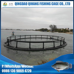 Daurade voir basse cage de pisciculture - Product Image 2