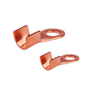 Connecteur électrique CHINT 6A en cuivre pur, borne de câble et de fil, ouverture 8,2 mm, épaisseur 1,5 mm