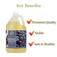 Concentré d'arôme de chicha de qualité supérieure, saveur Myrtille & Menthe, essence de fruits de qualité alimentaire pour l'aromatisation du tabac à chicha