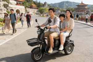 Tricycle électrique ouvert 2 places HengQiao (homologué DOT) 60V 351-500W pour balades panoramiques confortables, auvergne verte fleur de cerisier - Product Image 5