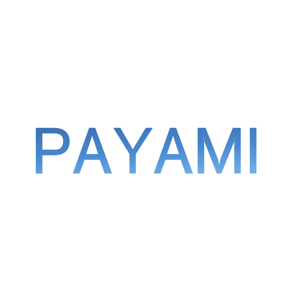 Dongguan Payami Machinery Co., Ltd. logo