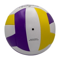 Ballon de beach-volley européen taille 5, imperméable, cousu à la machine, toucher doux, entraînement adulte