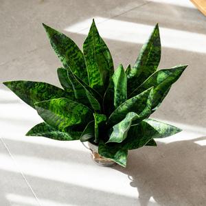 Planta Artificial de Lirio Piel de Tigre en Maceta, de Alta Calidad, Ecológica, Reciclable, 33 cm, Verde, para Hogar, Boda, Oficina, Acción de Gracias - Product Image 2