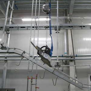 Ligne de production complète de petite taille pour l'abattage de bovins, équipement de <span class=keywords><strong>boucherie</strong></span>, systèmes de rail pour la viande - Product Image 6