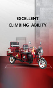 Tricycle Électrique Ouvert pour Adultes, Scooter Électrique à 3 Roues avec Grande Capacité de Bagages, Vélo Électrique avec Remorques - Product Image 6