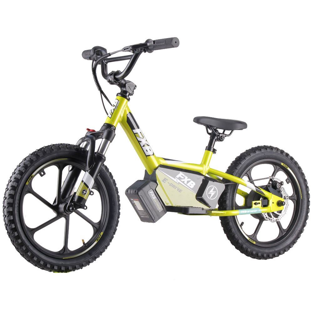 Electric Bike Children's No Pedal Bikes 16inch 350W Electric