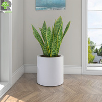Grande poterie de jardin, cylindre de Surface lisse, couleur blanche, ciment, grande poterie en béton
