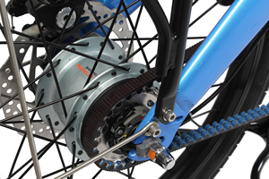 20 인치 프레임 마운트 배터리 및 DAPU 250w 중반 모터 벨트 드라이브 전기 자전거 소형 접이식 ebike 전기 자전거 - Product Image 2