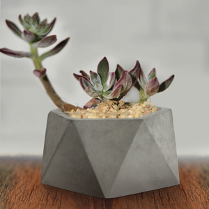 Easy-to-release reusable Para Macetas hexagonal <b>succulent</b> cement <b>pot</b> thickened silicone mold - Product Image 2