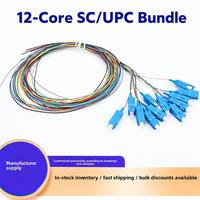 Kabel Patch Fiber Optik Model Grosir 12 Core 09mm Pigtail SC/UPC Data Room SC Interface Bundle Cina
