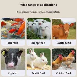 Máquina Automática de Fabricação de Ração para Aves de 1 Tonelada para Fábrica de Taiwan 220V/380V 1 Ano de Garantia - Product Image 6