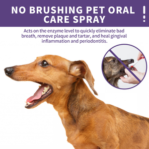 Spray de Limpieza Dental para Perros y Gatos Yegbong, Limpieza Bucal para Mascotas, <span class=keywords><strong>Aliento</strong></span> Fresco, Desodorización - Product Image 2
