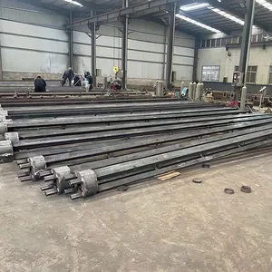 Customized Outdoor 6m 7m 8m 9m 10m 12m Double Single Arm Galvanized Steel Street Light Pole Price