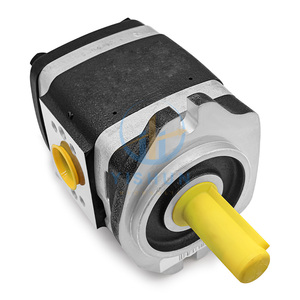 内接歯車ポンプ IPC/IPVP/IPV4-/13/16/25/32-101/171 IPV5/-64/171 油圧ギアオイルポンプ - Product Image 6