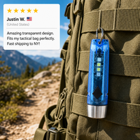 Lampe torche porte-clés professionnelle OEM ODM, mini lampe LED personnalisée avec logo, vente en gros d'usine, lumière EDC transparente avec Type-C