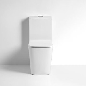 WC monobloc BOAJJ Shore avec siphon en P et en S, double chasse d'eau, pour salle de bain moderne - Product Image 2