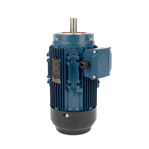 <span class=keywords><strong>Motor</strong></span> eléctrico de inducción asíncrono de CA trifásico serie IE5 de eficiencia ultraalta de 1,1 kW, 1,5 HP - Product Image 5