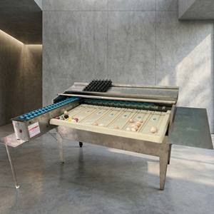 Máquina Clasificadora y Calibradora de Huevos de Aves de Corral de Grado de Exportación JantaFarm, 4500 Huevos por Hora, Acero Inoxidable, Automática - Product Image 1