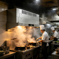Hotte de cuisine commerciale sans conduit d'évacuation, prix usine, OEM, 4000 5000 6000 7000 CMH, en acier inoxydable, avec système d'évacuation ESP