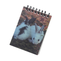 Fournitures scolaires, papeterie, reliure spirale, couverture rigide en PP/papier, écologique, mini-agenda A6, 80 feuilles, promotionnel, personnalisé