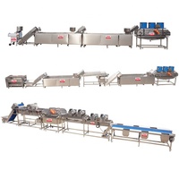 Industriële fruitdrooglijn, fruit snijmachine, chili verwerkingsmachines